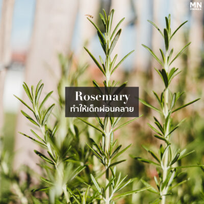 Rosemary